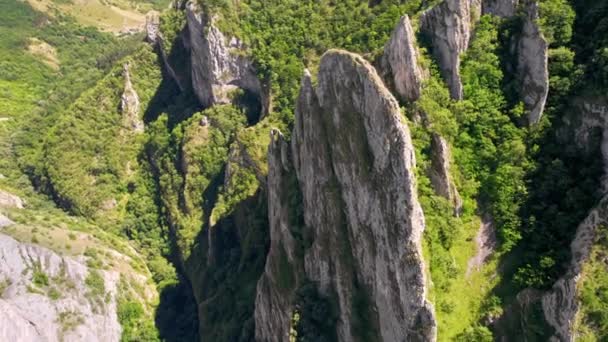 Aerial Drone View Rocky Canyon Romania Rocky Cliffs Greenery — Stockvideo