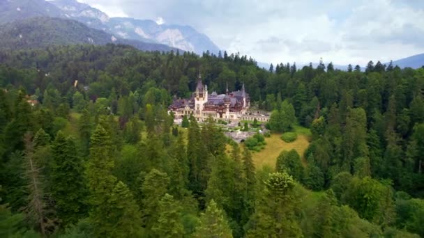 Aerial Drone View Peles Castle Romania Castle Gardens Tourists Carpathians — Wideo stockowe