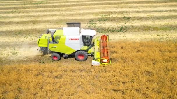 Bacau Romania July 2022 Aerial Drone View Harvester Gathering Crops — Stockvideo
