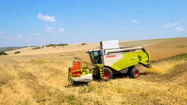 Bacau Romania July 2022 Aerial Drone View Harvester Gathering Crops — Video