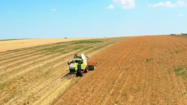 BACAU, ROMANIA - JULY, 2022: Aerial drone view of the harvester gathering crops in the field