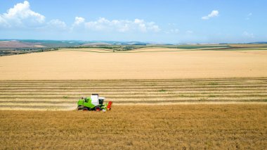 Aerial drone view of the harvester gathering crops in the field