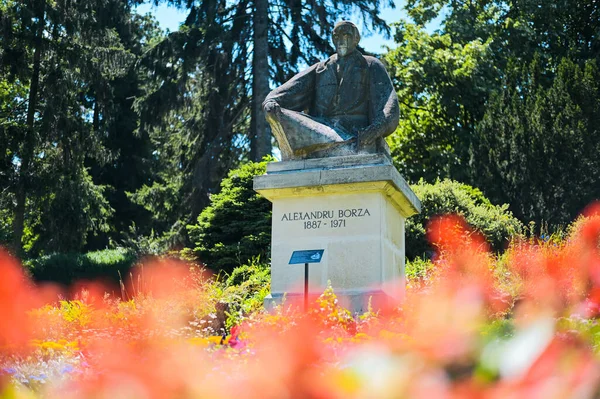 Alexandru Borza Monument Park Cluj Centre Romania Lush Greenery — Stock Photo, Image