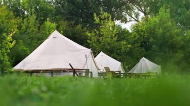Tents with wooden chairs at glamping, Lush forest around