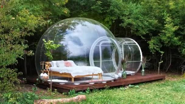 Transparent Bubble Tent Glamping Lush Forest Interior — Stock video