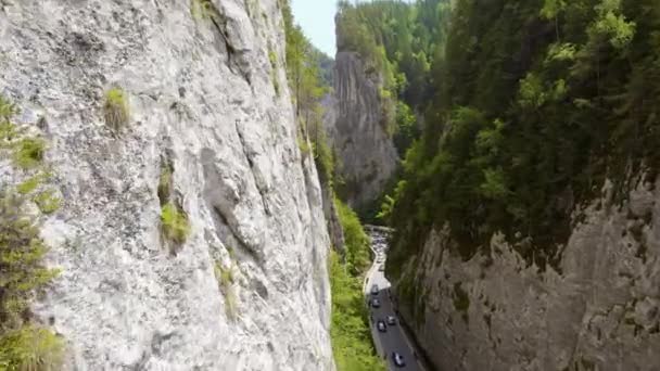 Vue Aérienne Par Drone Nature Roumanie Montagnes Des Carpates Route — Video