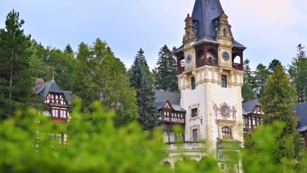 View Peles Castle Romania Castle Gardens Carpathians Lush Forest — Stok video