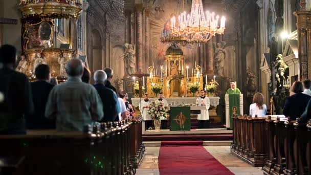 Sibiu Románia August 2022 Szentháromság Római Katolikus Templom Belseje Klasszikus — Stock videók