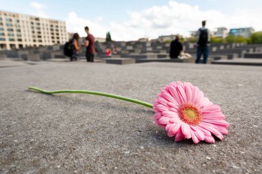 Berlin, Almanya 'da öldürülen Avrupa Yahudilerinin anısına. Çiçekler dikdörtgen beton bloklar, arkaplanda dar sokaklar
