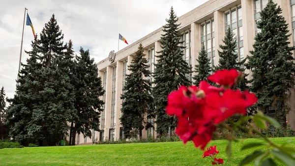 Vista Casa Governo Chisinau Moldávia Flores Vegetação Primeiro Plano — Fotografia de Stock