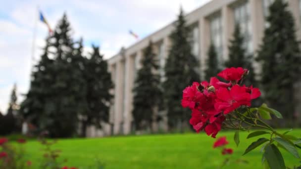 Utsikt Över Regeringshuset Chisinau Moldavien Blommor Och Grönska Förgrunden — Stockvideo