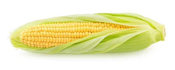 Färsk hela halva skalade majs kolv isolerad på en vit bakgrund. — Stockfoto