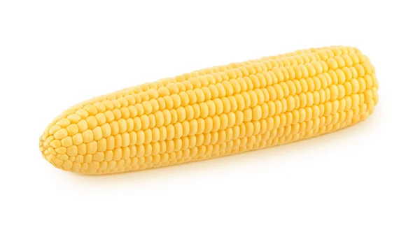 Świeża kolba kukurydzy odizolowana na białym tle. — Zdjęcie stockowe