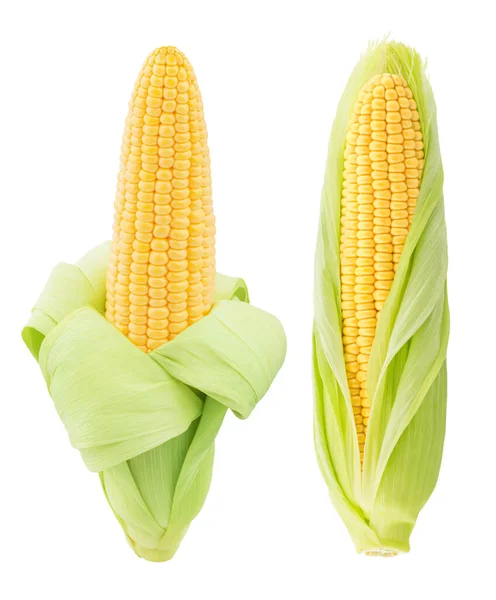 Zestaw świeżych kolb kukurydzy na białym tle. — Zdjęcie stockowe