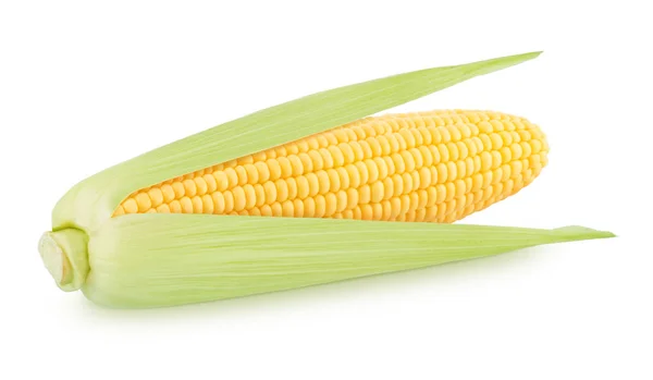 Pannocchia di mais sbucciata intera metà fresca isolata su uno sfondo bianco. — Foto Stock