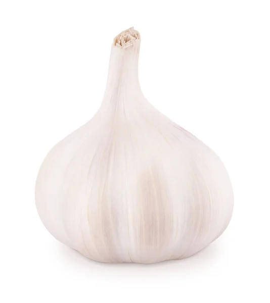 Hele verse knoflook geïsoleerd op witte achtergrond. Stockfoto