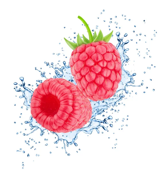 Raspberry dalam percikan air diisolasi pada latar belakang putih. Stok Lukisan  
