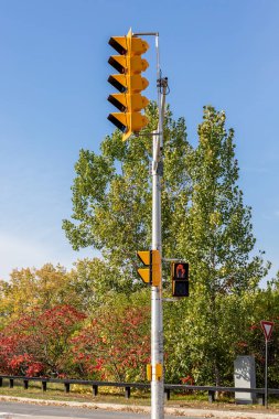 Sonbahar mevsiminde güneşli bir günde Kanada 'nın Ottawa şehrinde trafik ışıkları