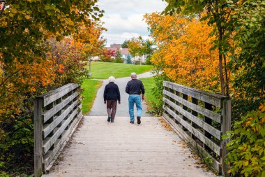 Yaşlı bir çift, sonbahar mevsiminde parktaki eski ahşap köprüde yürüyor. Kanada, Ottawa 'daki Centrepointe parkındaki yaprakların rengini değiştiren yaşlılar ve ağaçlarla sonbahar manzarası.