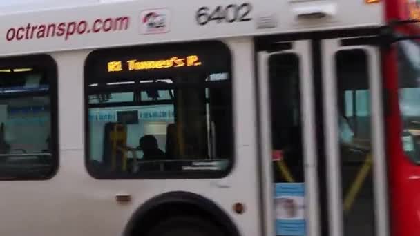 Öffentlicher Bus in der Innenstadt, Rideau Street in Ottawa, Kanada — Stockvideo