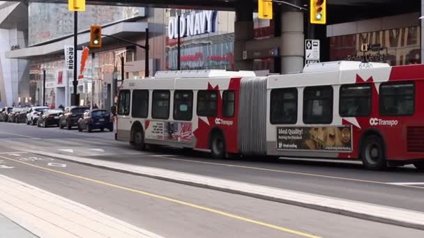 Autobus publiczny w centrum miasta, ulica Rideau w Ottawie, Kanada — Wideo stockowe