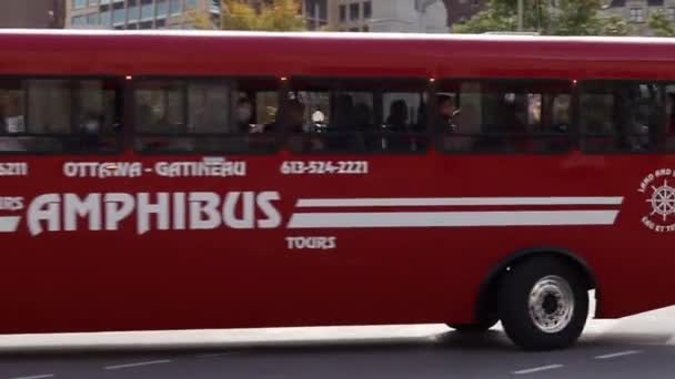 Vyhlídkový autobus Amphibus v centru města Ottawa, Kanada. — Stock video