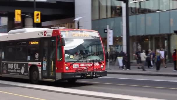 Autobús público en el centro, calle Rideau en Ottawa, Canadá — Vídeos de Stock