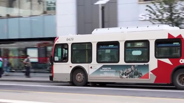 Allmänna bussar i centrum, Rideau street i Ottawa, Kanada — Stockvideo