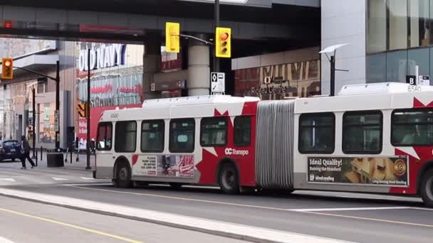 Autobus publiczny w centrum miasta, ulica Rideau w Ottawie, Kanada — Wideo stockowe