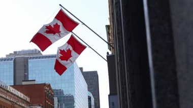 Kanada 'nın Ottawa şehir merkezindeki inşaatında Kanada bayrakları