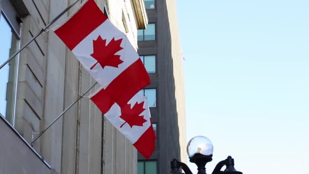 Canadian flags on building in downtown district of Ottawa in Canada — Stockvideo