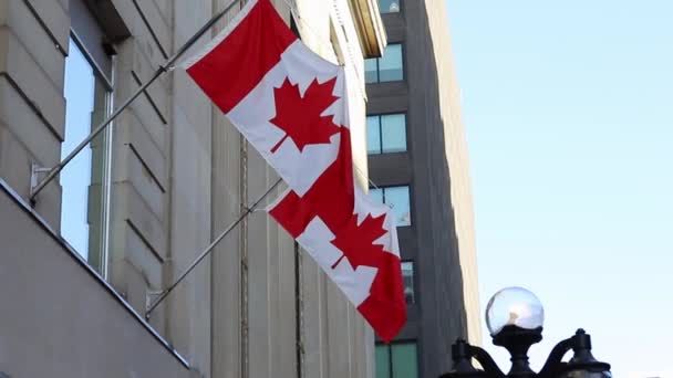 Canadian flags on building in downtown district of Ottawa in Canada — Stockvideo