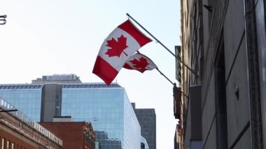 Kanada 'nın Ottawa şehir merkezindeki inşaatında Kanada bayrakları