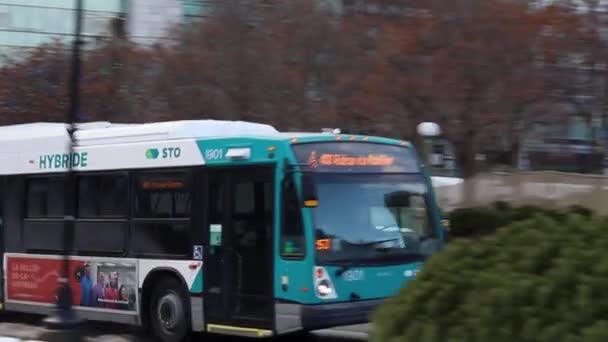 Public hybride bus going in downtown Ottawa, Canada — стокове відео