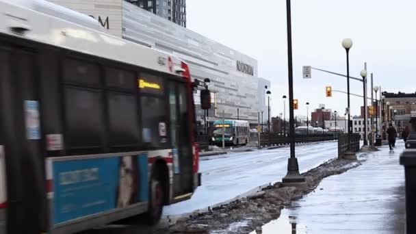 Δημόσια λεωφορεία που πηγαίνουν στο κέντρο της Οττάβα, Καναδάς — Αρχείο Βίντεο