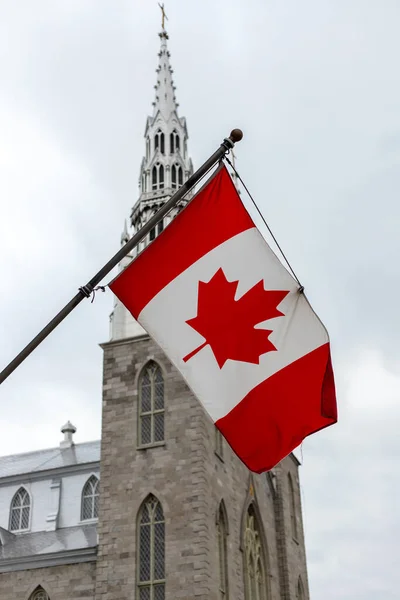 Canadian flags in front of the Notre-Dame Cathedral Basilica in Ottawa, Canada —  Fotos de Stock