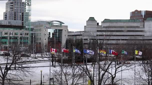 Ottawa City Hall and flags in winter season — Stockvideo