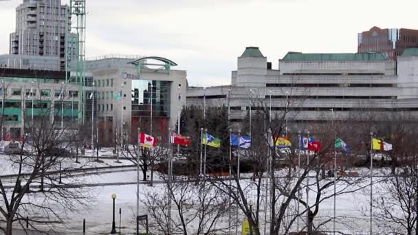 Ottawa City Hall and flags in winter season — ストック動画