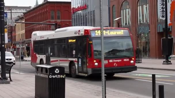 Rideau δρόμο με λεωφορείο στο δρόμο στο κέντρο της Οττάβα, Καναδάς. — Αρχείο Βίντεο