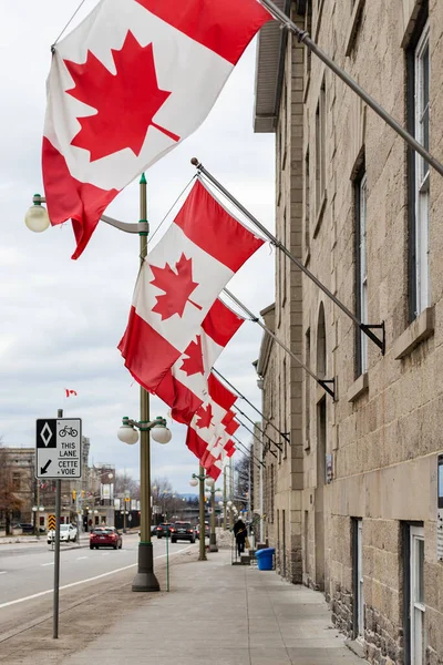 Gebouw met Canadese vlaggen in het centrum van Ottawa in Canada. Canada School of Public Service. — Stockfoto