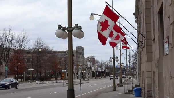 Gebäude mit kanadischen Flaggen in der Innenstadt von Ottawa in Kanada. Kanadische Schule des öffentlichen Dienstes. — Stockvideo