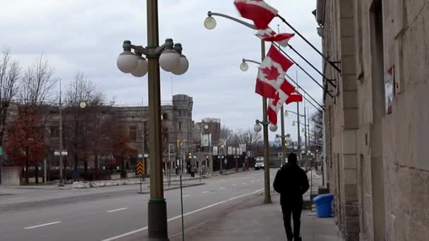 Gebäude mit kanadischen Flaggen in der Innenstadt von Ottawa in Kanada. Kanadische Schule des öffentlichen Dienstes. — Stockvideo