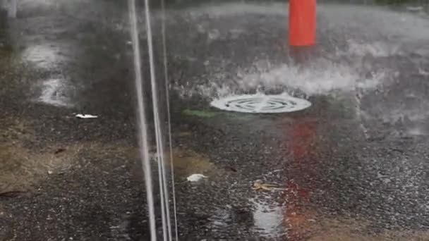 Fontaine dans un parc public en été — Video