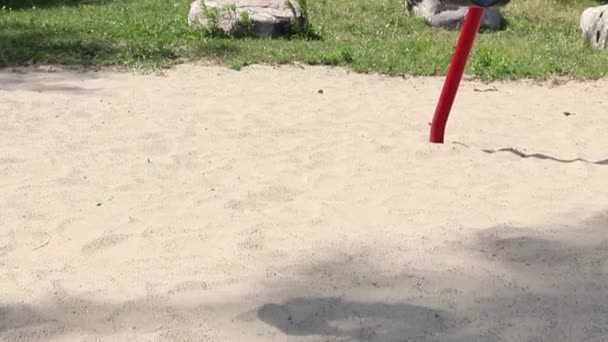 Качели Маленьких Детей Детской Площадке Песком Парке Детей Солнечный Летний — стоковое видео