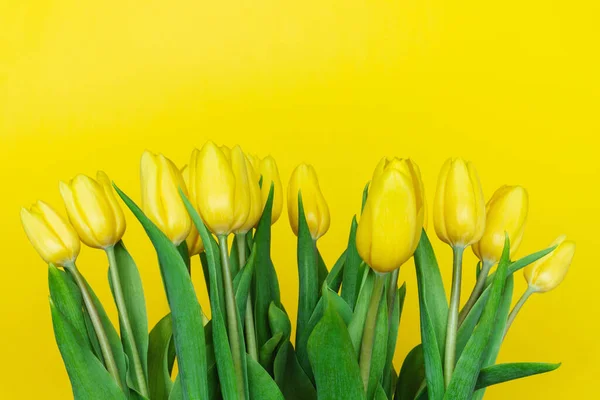 Bunch Yellow Tulips Yellow Background Bouquet Flowers Copy Space Holiday — Stock Photo, Image