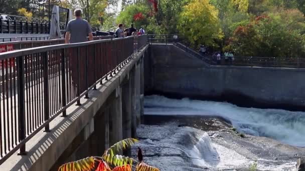 Ottawa Kanada Října 2021 Hogs Back Falls Bridge Prince Wales — Stock video