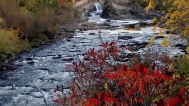 Sonbaharda Kanada 'nın Ottawa şehrindeki Rideau Nehri' ndeki Galler Şelaleleri Prensi Hogs Back Falls ve Bridge. Nehirle parkın renkli doğası