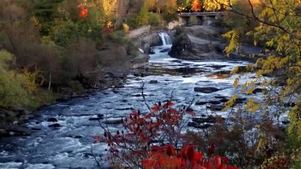 Hogs Back Falls Bridge Prince Wales Falls Waterfalls Rideau River — Stock Video