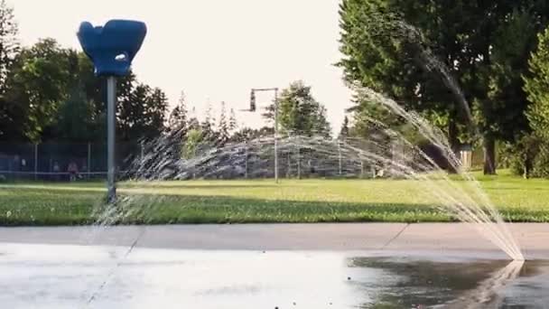 Ottawa Kanada Července 2022 Splash Pad Místním Veřejném Parku Fontána — Stock video