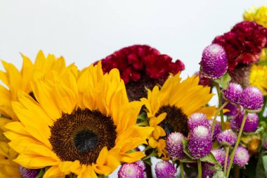 Beyaz arka planda parlak, vahşi sonbahar çiçeklerinden güzel bir buket